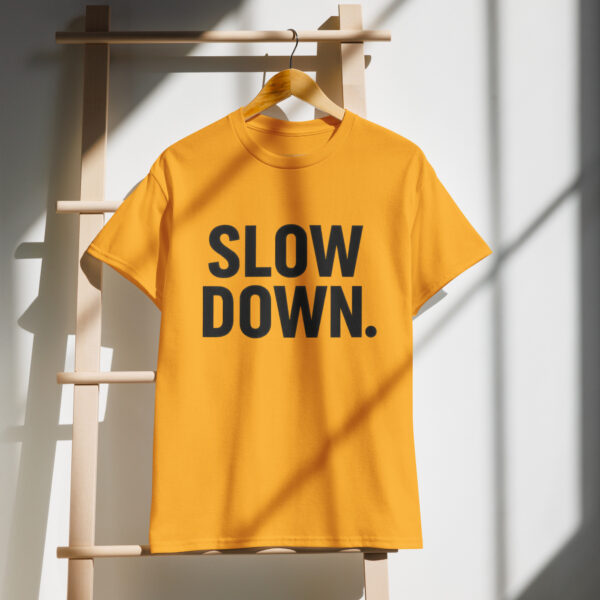 Slow-Down Hi-Vis Walking T-Shirt